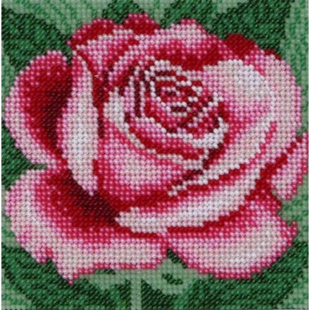 Троянда Схема на тканині для вишивання бісером Louise O-438 - Вишивка хрестиком і бісером - Овечка Рукодільниця