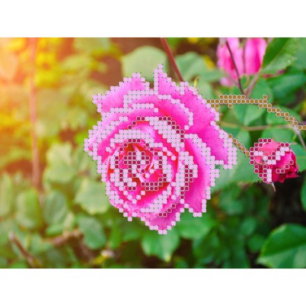 Троянда Схема на тканині для вишивання бісером Louise O-129 - Вишивка хрестиком і бісером - Овечка Рукодільниця