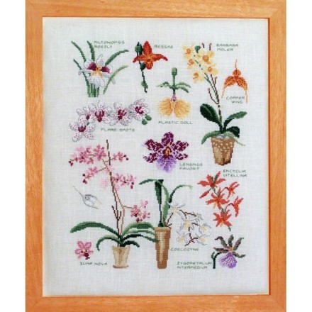 Сорта орхидей Набор для вышивания крестом Lucas Creations FL18-K - Вышивка крестиком и бисером - Овца Рукодельница
