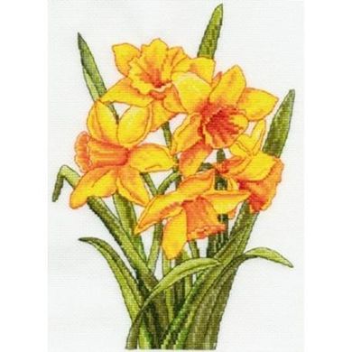 Daffodils. Набір для вишивання. DMC (BK1179) - Вишивка хрестиком і бісером - Овечка Рукодільниця