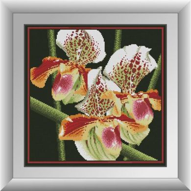 Хижа орхідея. Dream Art (30411D) - Вишивка хрестиком і бісером - Овечка Рукодільниця