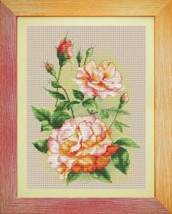 Садові троянди. Набір для вишивання нитками. Olanta (VN-053) - Вишивка хрестиком і бісером - Овечка Рукодільниця