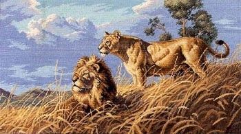 Набір для вишивки хрестиком Dimensions 03866 African Lions - Вишивка хрестиком і бісером - Овечка Рукодільниця
