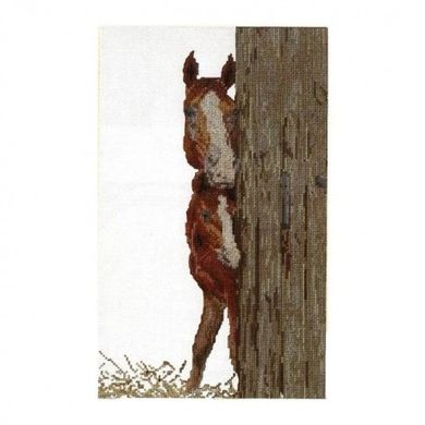Horse and foal Aida Набір для вишивання хрестиком Thea Gouverneur gouverneur_511A - Вишивка хрестиком і бісером - Овечка Рукодільниця