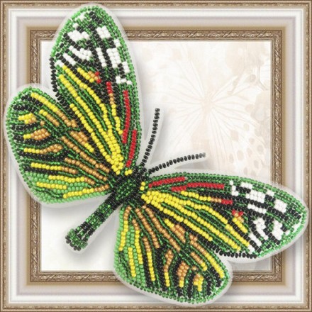 Набор для вышивки бисером бабочки на прозрачной основе Вдохновение Campylotes Histrionicus BGP-074 - Вышивка крестиком и бисером - Овца Рукодельница
