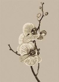 Орхидея. Набор для вышивания крестом. Luca-S (B291) - Вышивка крестиком и бисером - Овца Рукодельница