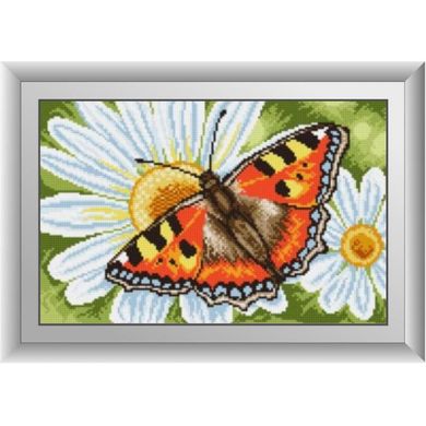 Метелик на ромашці. Dream Art (30365D) - Вишивка хрестиком і бісером - Овечка Рукодільниця