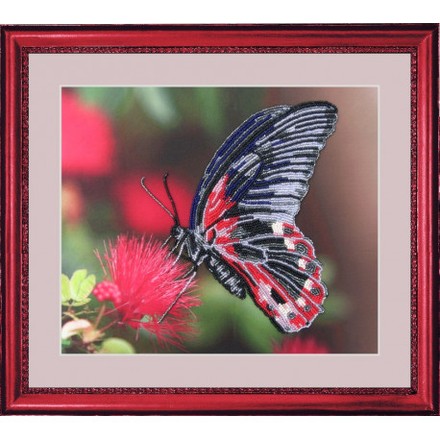 Набор для вышивания бисером Butterfly 103 Бабочка - Вишивка хрестиком і бісером - Овечка Рукодільниця