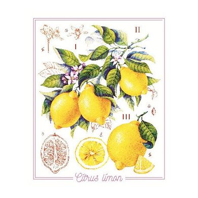 Лимоны Принт для художественной вышивки Alisena AL1042а - Вышивка крестиком и бисером - Овца Рукодельница