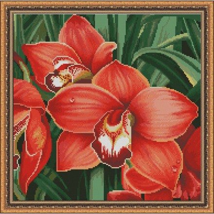 Красная орхидея Набор для вышивания крестиком Фантазия 400/47 - Вышивка крестиком и бисером - Овца Рукодельница