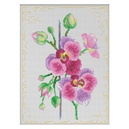 Набор для вышивки крестом Dantel Цветки орхидеи 004.1 d - Вишивка хрестиком і бісером - Овечка Рукодільниця