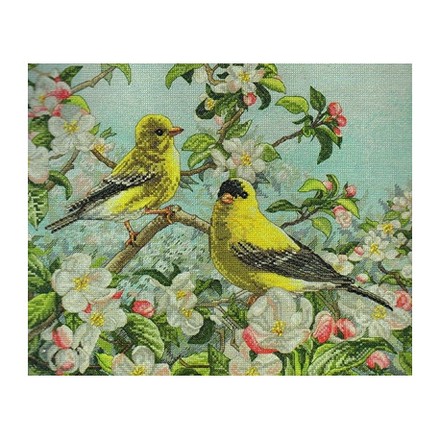 Набор для вышивания Bucilla 45576 Goldfinches - Вишивка хрестиком і бісером - Овечка Рукодільниця