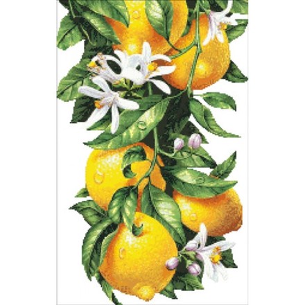 Лимоны Канва с нанесенным рисунком для вышивки крестом Світ можливостей 9116СМД - Вишивка хрестиком і бісером - Овечка Рукодільниця