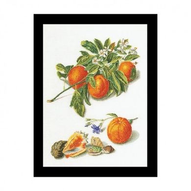 Oranges & Mandarins Linen Набір для вишивання хрестиком Thea Gouverneur gouverneur_3061 - Вышивка крестиком и бисером - Овца Рукодельница