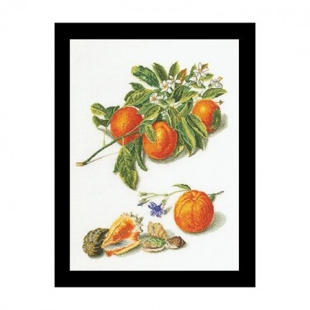 Oranges & Mandarins Linen Набір для вишивання хрестиком Thea Gouverneur gouverneur_3061 - Вишивка хрестиком і бісером - Овечка Рукодільниця