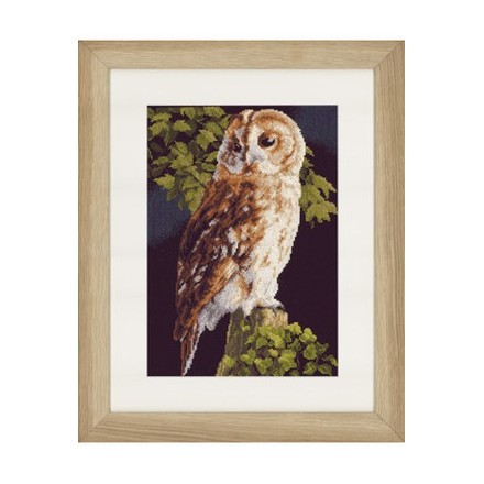 Набор для вышивания Lanarte PN-0146814 Owl - Вишивка хрестиком і бісером - Овечка Рукодільниця