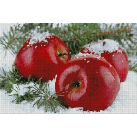 Яблоки на снегу Электронная схема для вышивания крестиком СХ-26НО