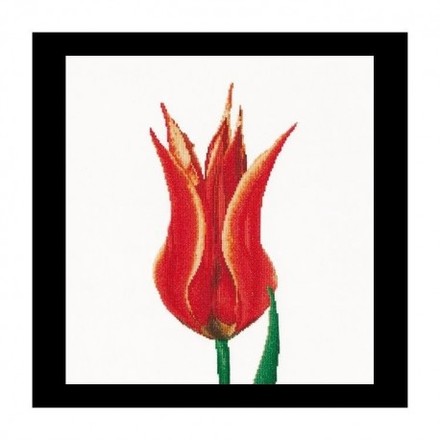 Red/Yellow Lily flowering tulip Aida Набір для вишивання хрестиком Thea Gouverneur gouverneur_515A - Вышивка крестиком и бисером - Овца Рукодельница