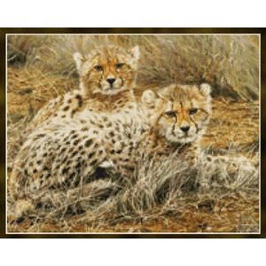 Little Princesses - Baby Cheetahs Kustom Krafts (99627) - Вишивка хрестиком і бісером - Овечка Рукодільниця