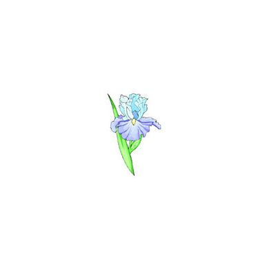 Голубой ирис Ткань для вышивания с нанесённым рисунком Orchidea O-351 - Вышивка крестиком и бисером - Овца Рукодельница