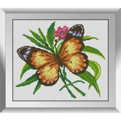 Бабочка Набор алмазной живописи Dream Art 31756D - Вышивка крестиком и бисером - Овца Рукодельница