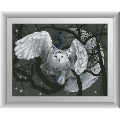 Ночная сова. Dream Art (30527D) - Вышивка крестиком и бисером - Овца Рукодельница