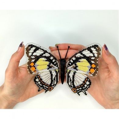 Charaxes nobilis. Метелик Набір для вишивання хрестиком ArtInspirate BUT-30 - Вишивка хрестиком і бісером - Овечка Рукодільниця