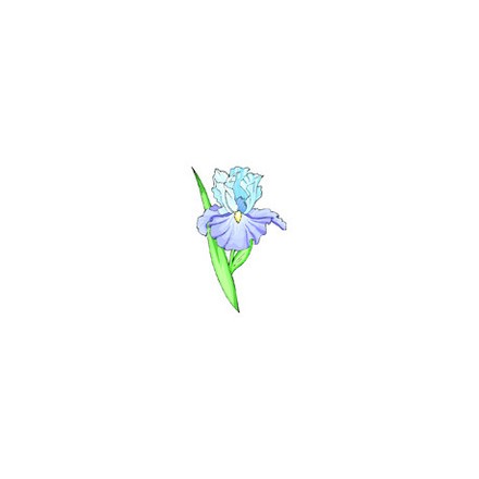 Голубой ирис Ткань для вышивания с нанесённым рисунком Orchidea O-351 - Вишивка хрестиком і бісером - Овечка Рукодільниця