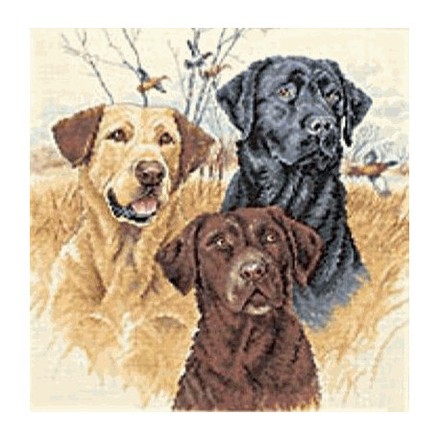Набор для вышивания Dimensions 35096 Great Hunting Dogs - Вышивка крестиком и бисером - Овца Рукодельница