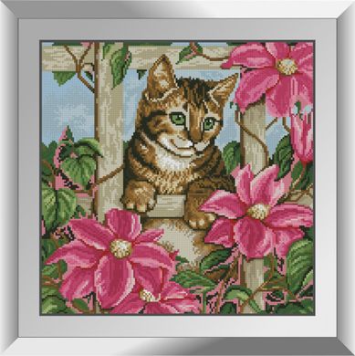 Цікавість кошеня. Набір алмазний живопис. Dream Art (31555D) - Вишивка хрестиком і бісером - Овечка Рукодільниця