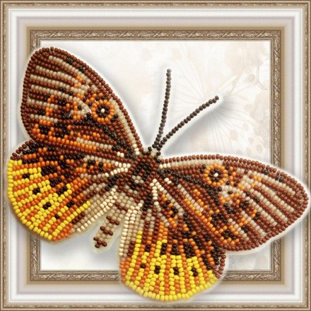Набор для вышивки бисером бабочки на прозрачной основе Вдохновение Eurybia Juturna BGP-054 - Вишивка хрестиком і бісером - Овечка Рукодільниця