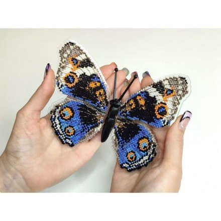 Blue pansy. Метелик Набір для вишивання хрестиком ArtInspirate BUT-012 - Вышивка крестиком и бисером - Овца Рукодельница