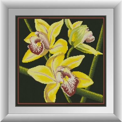 Жовта орхідея. Dream Art (30412D) - Вишивка хрестиком і бісером - Овечка Рукодільниця