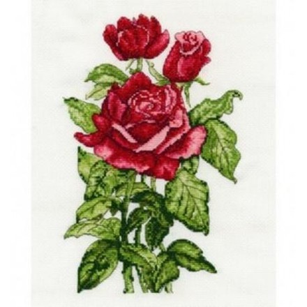 Roses. Набор для вышивания. DMC (BK1180) - Вышивка крестиком и бисером - Овца Рукодельница