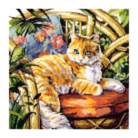 Набор для вышивания Janlynn 023-0559 Cat in the Sun - Вишивка хрестиком і бісером - Овечка Рукодільниця