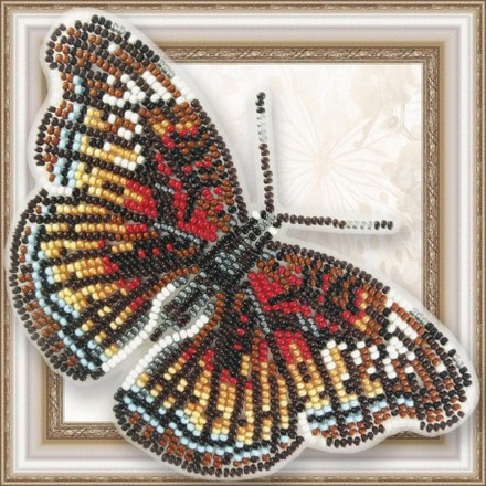 Набор для вышивки бисером бабочки на прозрачной основе Вдохновение Euryphura Сhalcis BGP-073 - Вишивка хрестиком і бісером - Овечка Рукодільниця