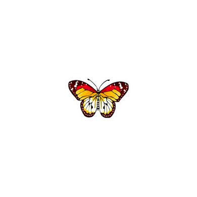Тропическая бабочка Ткань для вышивания с нанесённым рисунком Orchidea O-385 - Вышивка крестиком и бисером - Овца Рукодельница