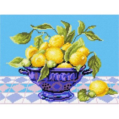 Лимони у вазі Набір для вишивання по канві з малюнком Quick Tapestry TL-06 - Вышивка крестиком и бисером - Овца Рукодельница