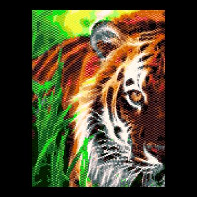 Тигр на траві Набір для бісероплетіння ArtSolo NMK004 - Вышивка крестиком и бисером - Овца Рукодельница