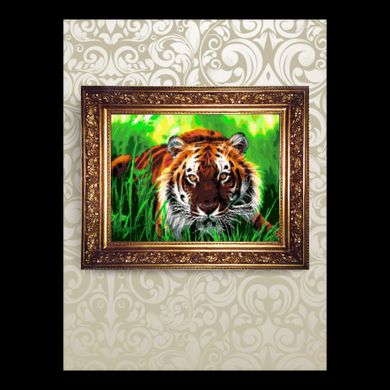 Тигр на траві Набір для бісероплетіння ArtSolo NMK004 - Вишивка хрестиком і бісером - Овечка Рукодільниця