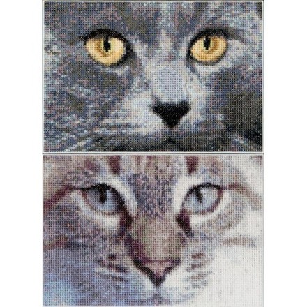 Набір для вишивки хрестиком Cats Jack + Luna Aida Thea Gouverneur 541A - Вишивка хрестиком і бісером - Овечка Рукодільниця