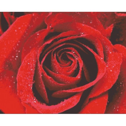Роза в росе Набор для вышивки бисером по чистой основе НК-003НВ - Вышивка крестиком и бисером - Овца Рукодельница