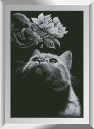 Кіт із магнолією. Набір алмазний живопис. Dream Art (31551D) - Вишивка хрестиком і бісером - Овечка Рукодільниця
