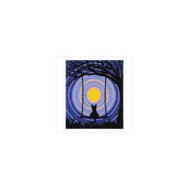 Звездная ночь. Набор для вышивания бисером. ВДВ (Украина) (ТН-0686) - Вышивка крестиком и бисером - Овца Рукодельница