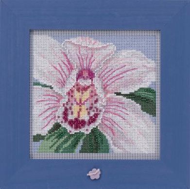 Белая орхидея. Набор для вышивания крестом. Mill Hill (MH142014) - Вышивка крестиком и бисером - Овца Рукодельница