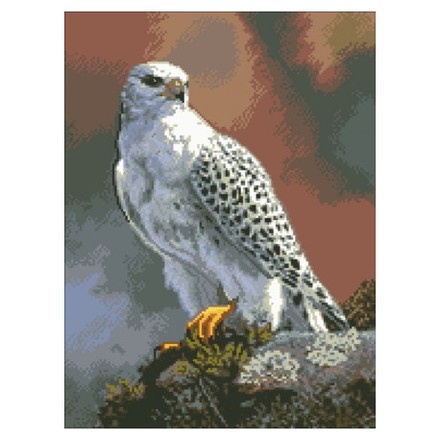 Белый орел Канва с нанесенным рисунком Світ можливостей 30.519СМД - Вишивка хрестиком і бісером - Овечка Рукодільниця