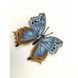 Salamis Temora. Метелик Набір для вишивання хрестиком ArtInspirate BUT-048