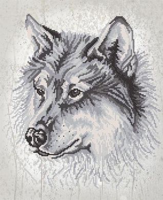 Волк. Ткань с рисунком для вышивания бисером. Марічка (РКП-2-020) - Вышивка крестиком и бисером - Овца Рукодельница