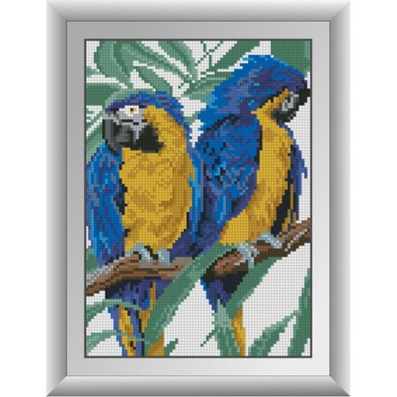 Два папуги. Dream Art (30293D) - Вишивка хрестиком і бісером - Овечка Рукодільниця