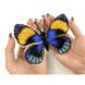 Callicora sapphire. Метелик Набір для вишивання хрестиком ArtInspirate BUT-069